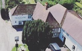 The Black Pig